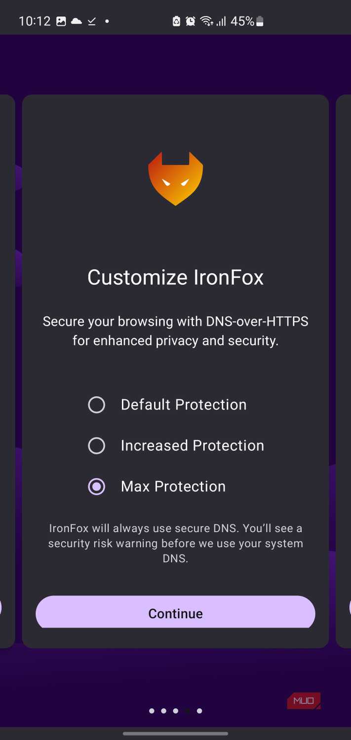 IronFox browser DNS security settings screen