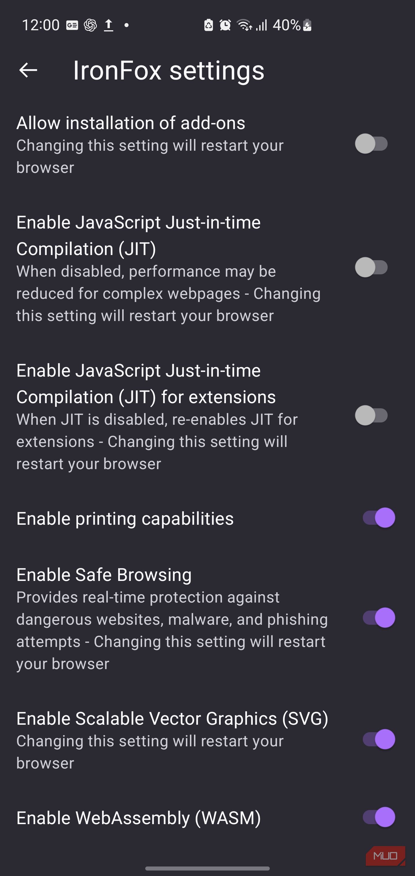 IronFox mobile browser application settings screen