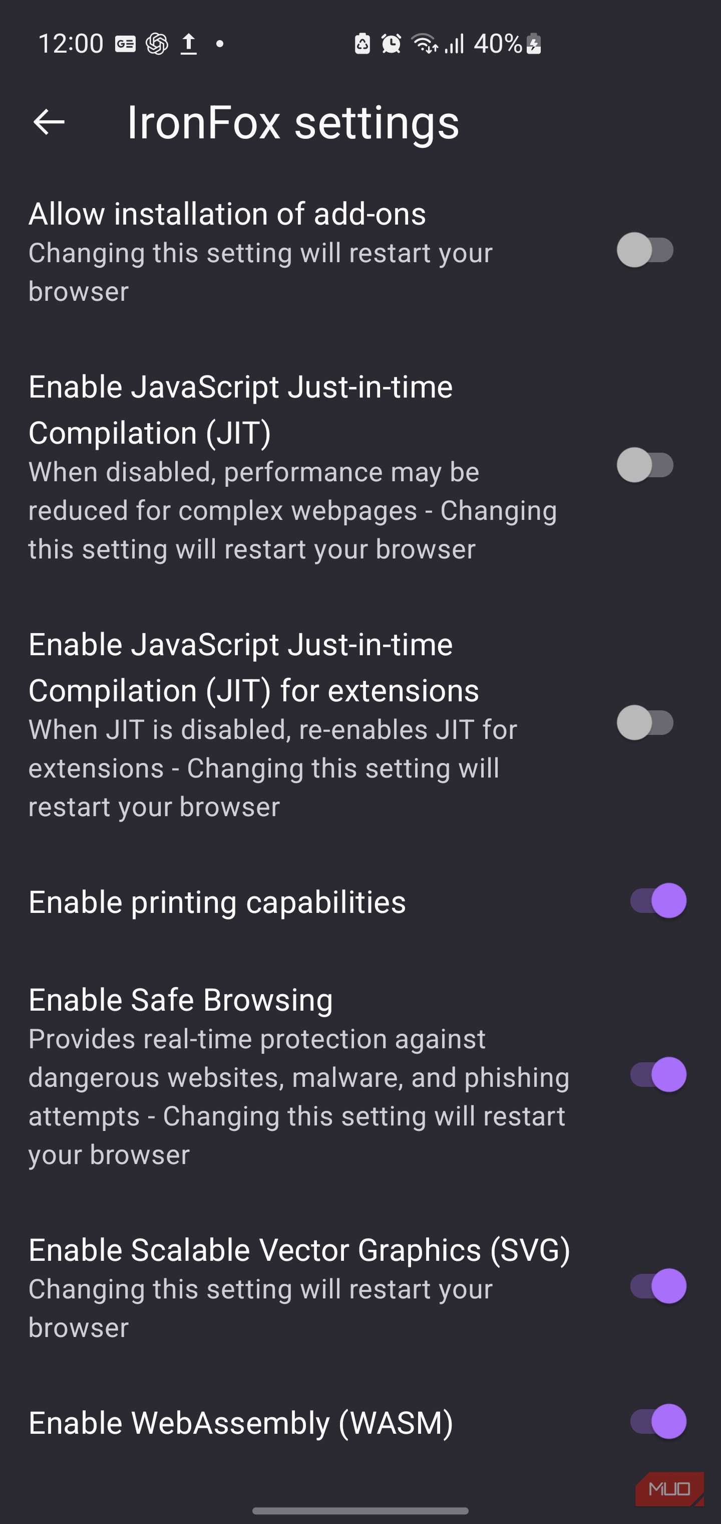 IronFox mobile browser application settings screen