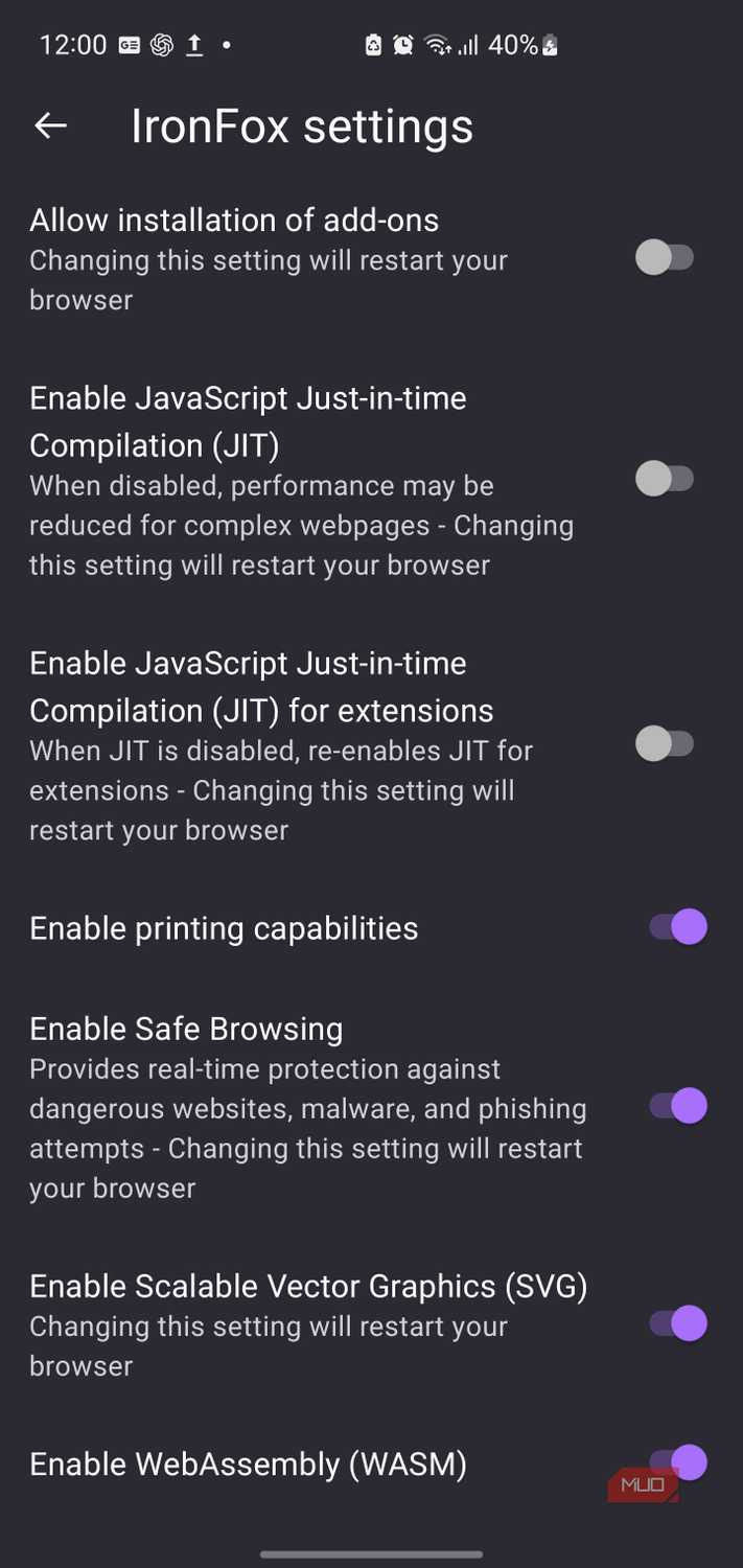 IronFox mobile browser application settings screen