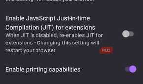 IronFox mobile browser application settings screen