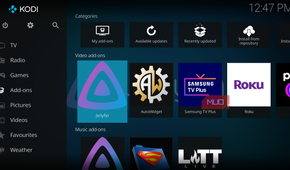 Jellyfin after installation on Kodi