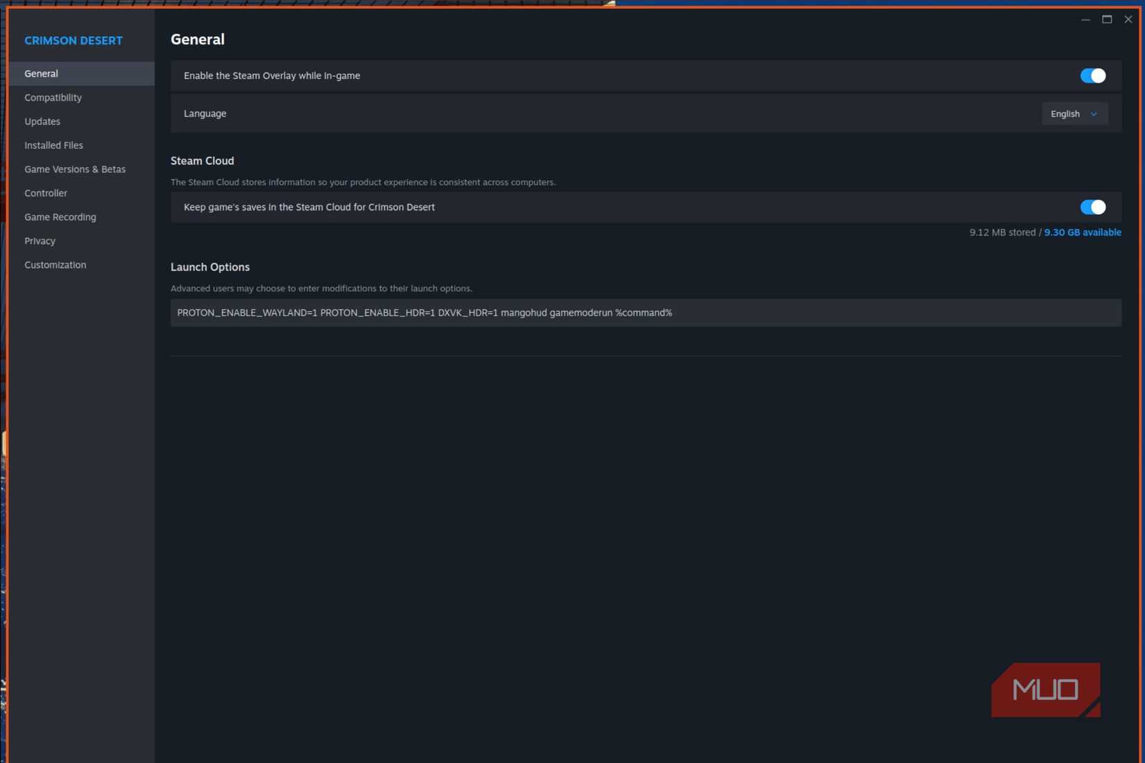 Adding launch options to a Steam game