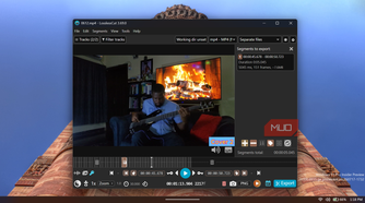 LosslessCut video editor application window interface