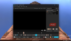 LosslessCut video editor application window interface