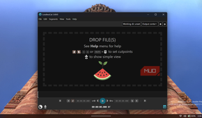 LosslessCut video editor application window interface