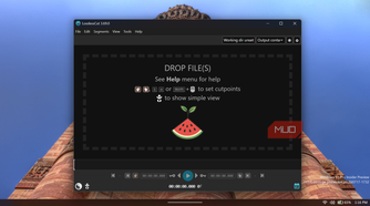 LosslessCut video editor application window interface