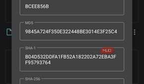material files displaying the advanced view