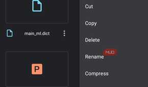 material files showing the contextual menu options