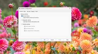 msconfig default window