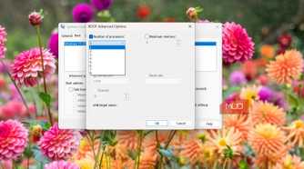 msconfig number of processes option