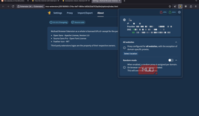 Mullvad browser displaying a page with connection information