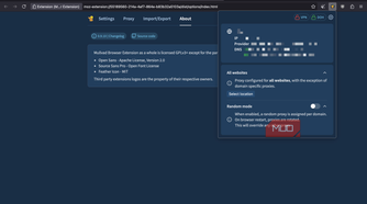 Mullvad browser displaying a page with connection information