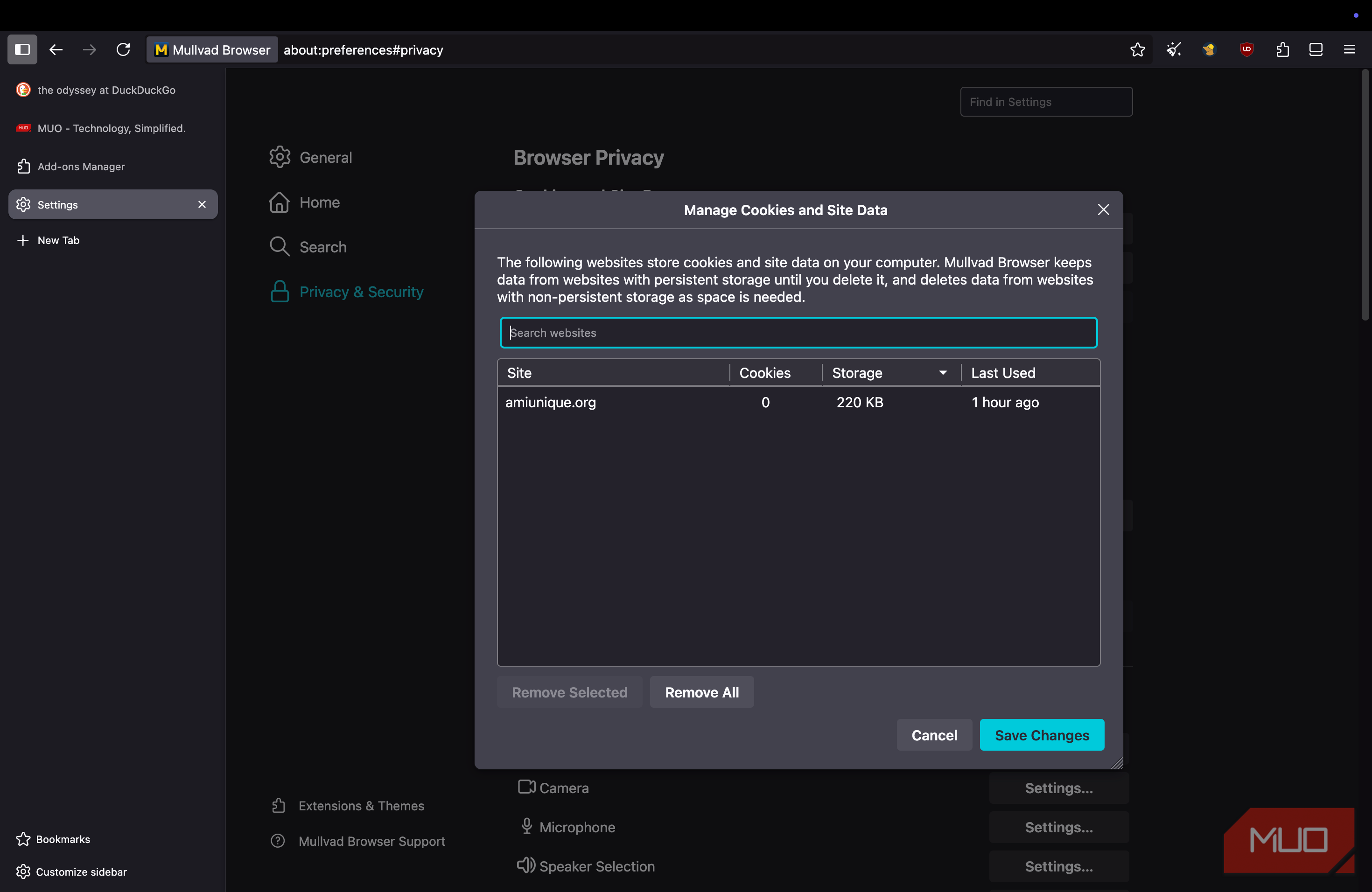 Mullvad browser showing data management options