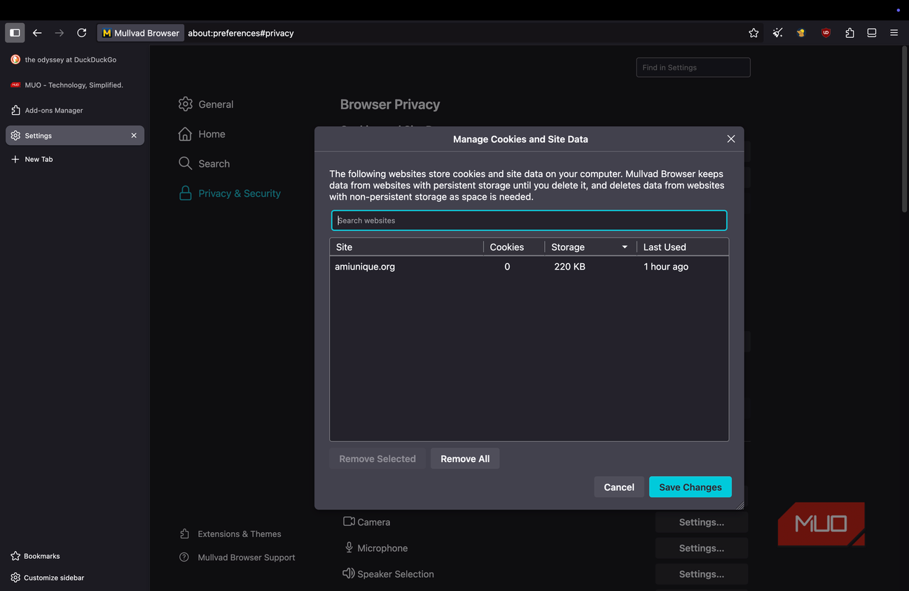 Mullvad browser showing data management options