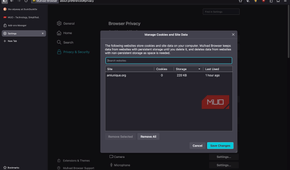 Mullvad browser showing data management options