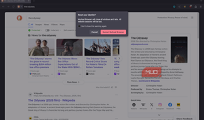 Mullvad browsers displaying the one-click reset button