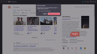 Mullvad browsers displaying the one-click reset button