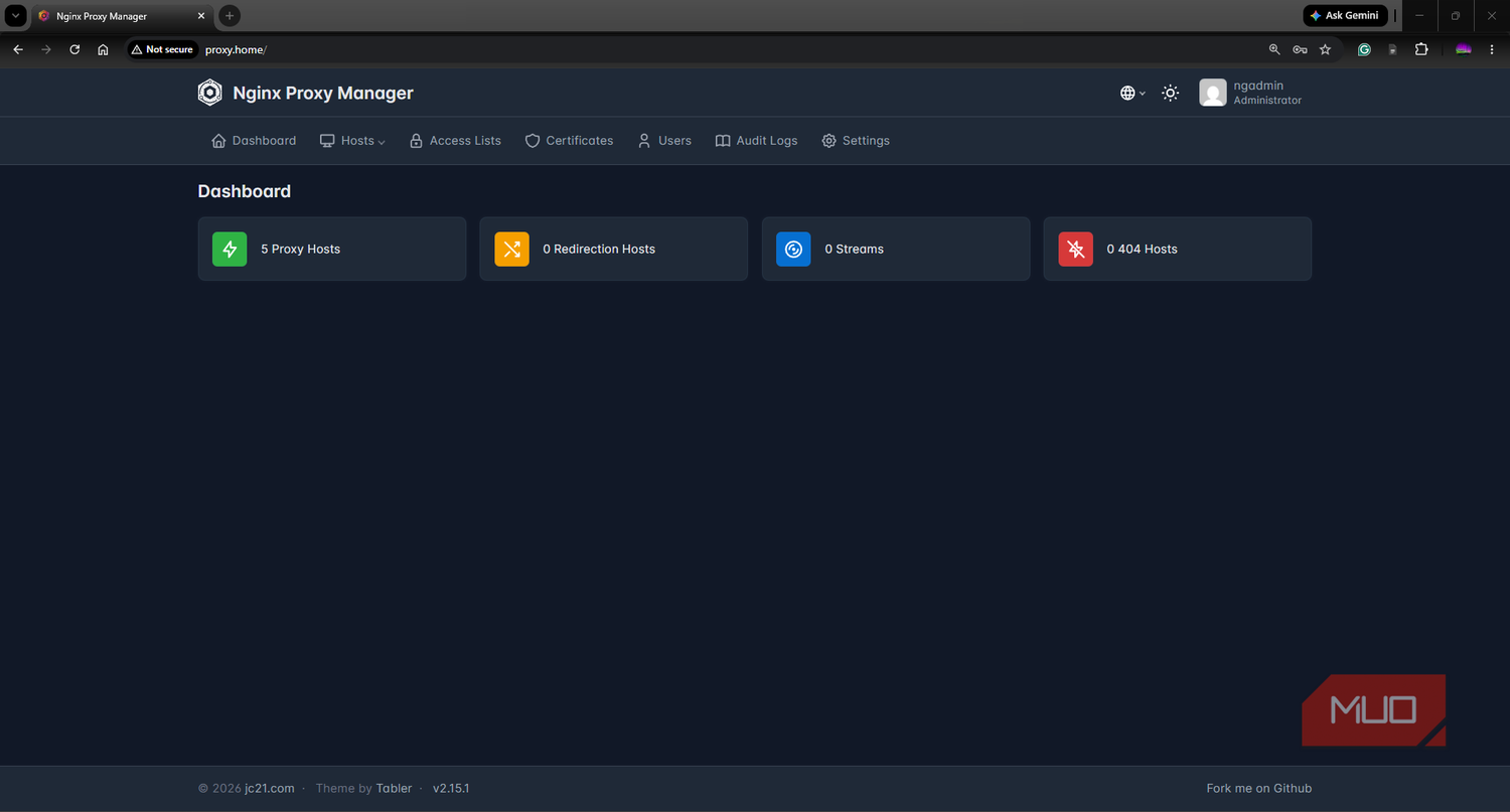 NGINX Proxy Manager dashboard showing configured hosts