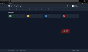 NGINX Proxy Manager dashboard showing configured hosts