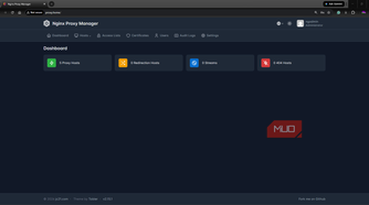 NGINX Proxy Manager dashboard showing configured hosts