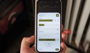 The expanded volume overlay on a Pixel phone.