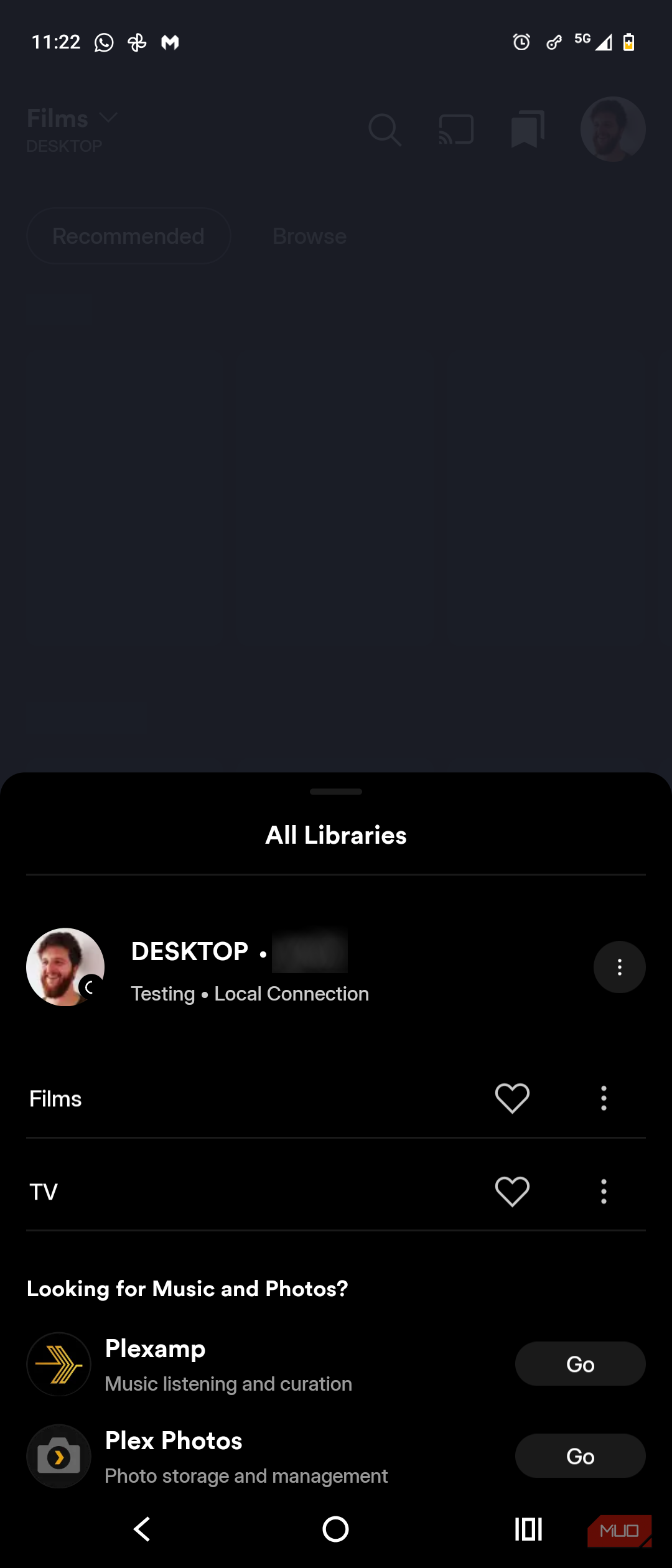 plex mobile app testing local connection with tailscale