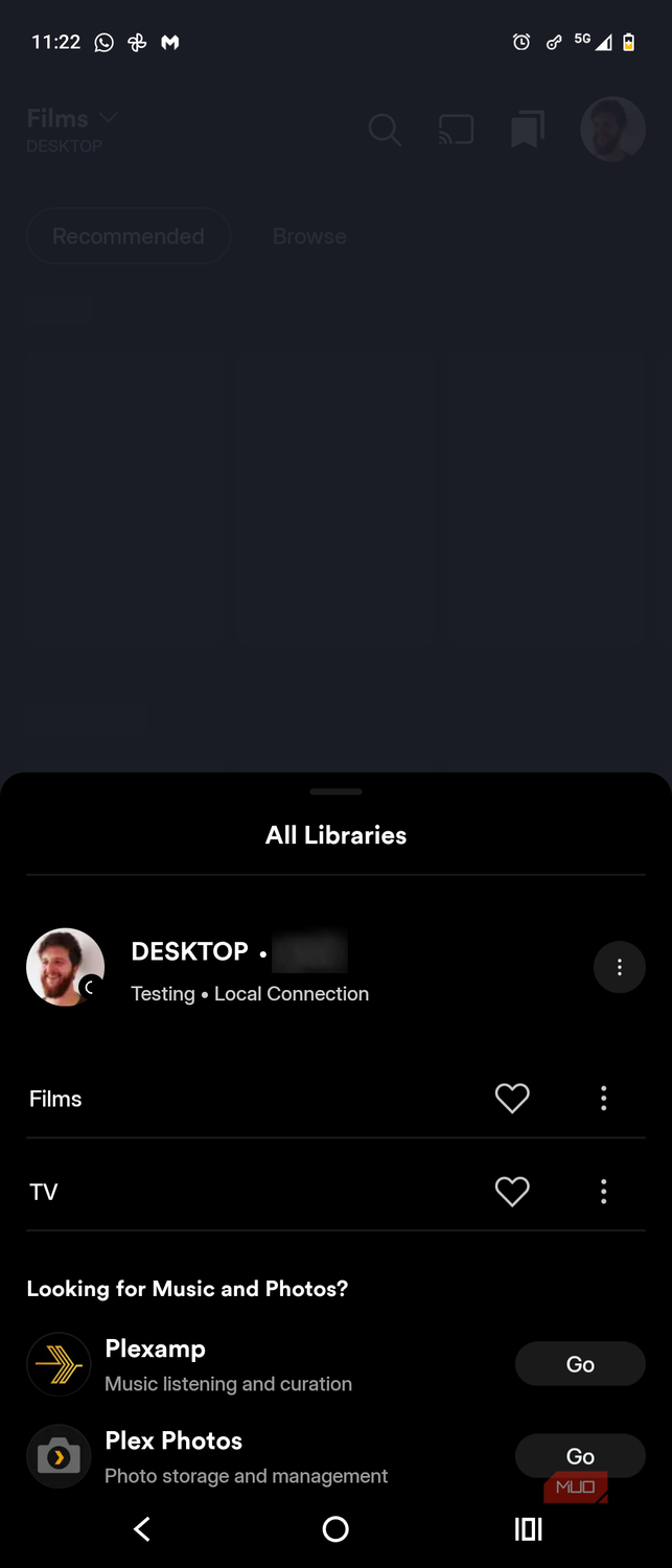 plex mobile app testing local connection with tailscale