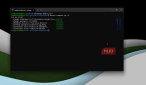 Postgres container running.