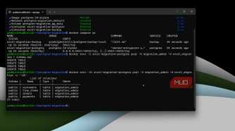 Postgres excel data migration.
