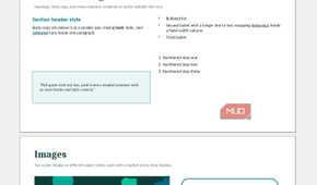 Presentation slides showing text and image formatting