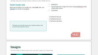 Presentation slides showing text and image formatting