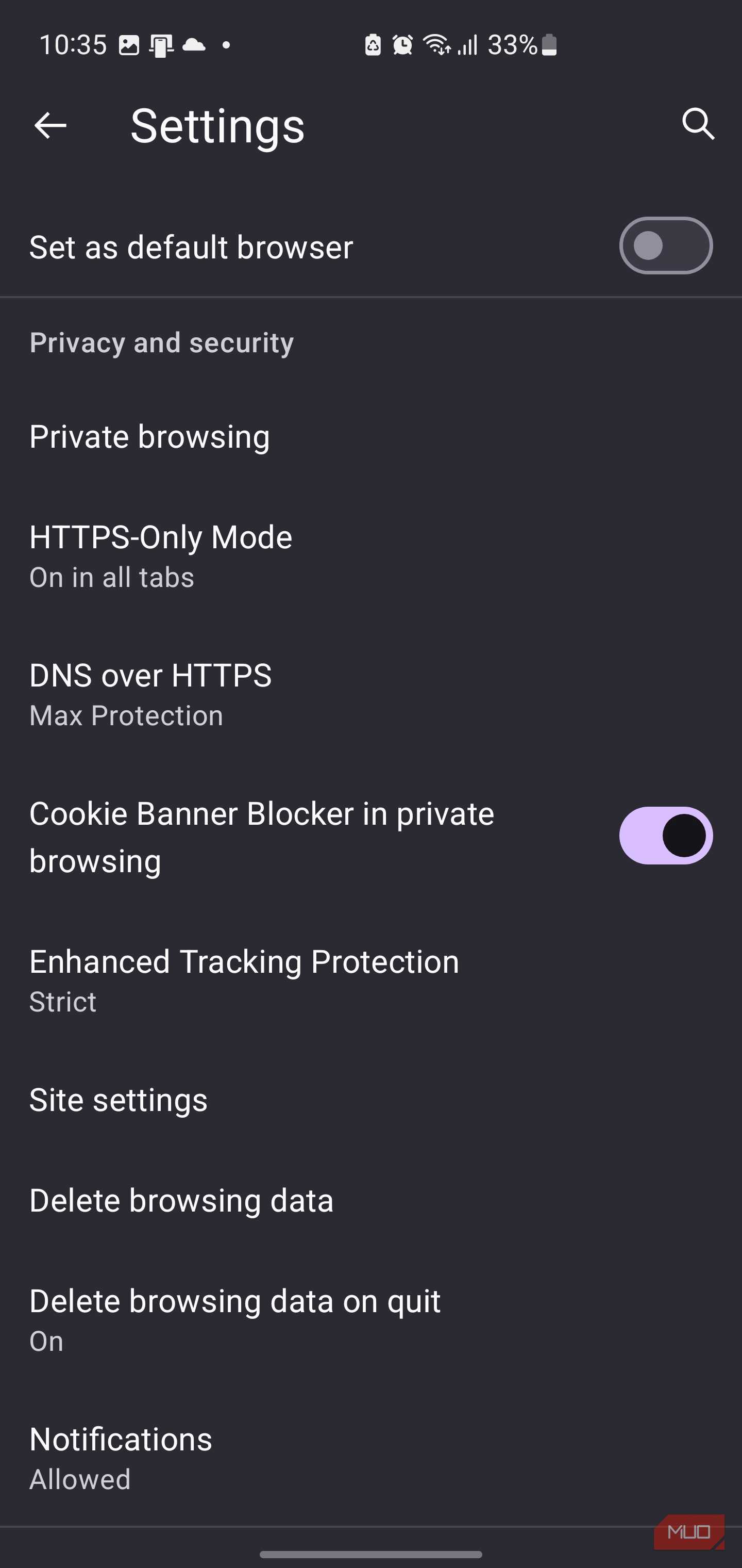 Privacy and security settings in IronFox browser.