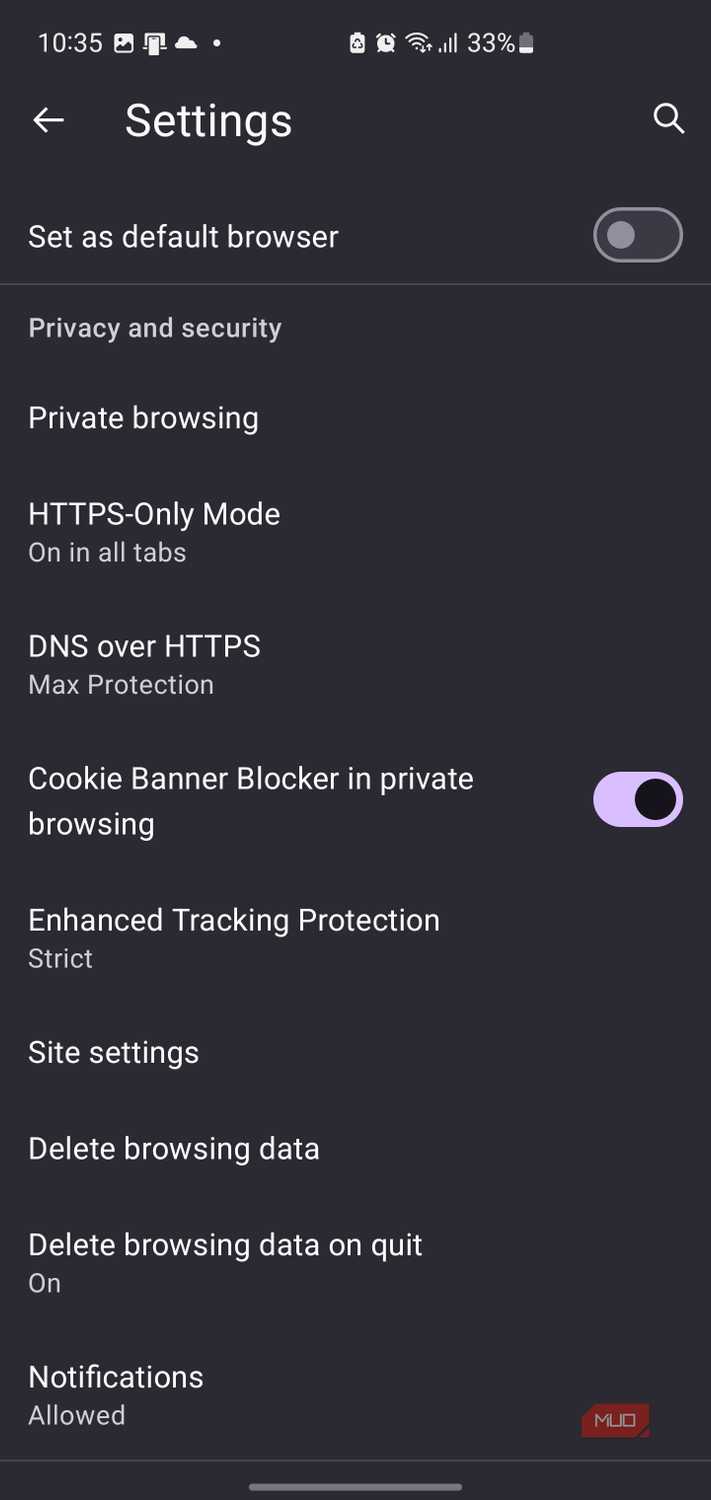 Privacy and security settings in IronFox browser.