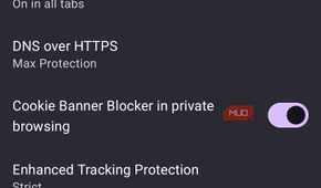 Privacy and security settings in IronFox browser.