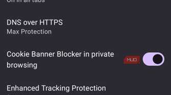 Privacy and security settings in IronFox browser.