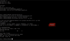 proxmox console configuration file checking updated dns works
