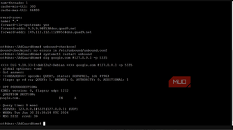 proxmox console configuration file checking updated dns works