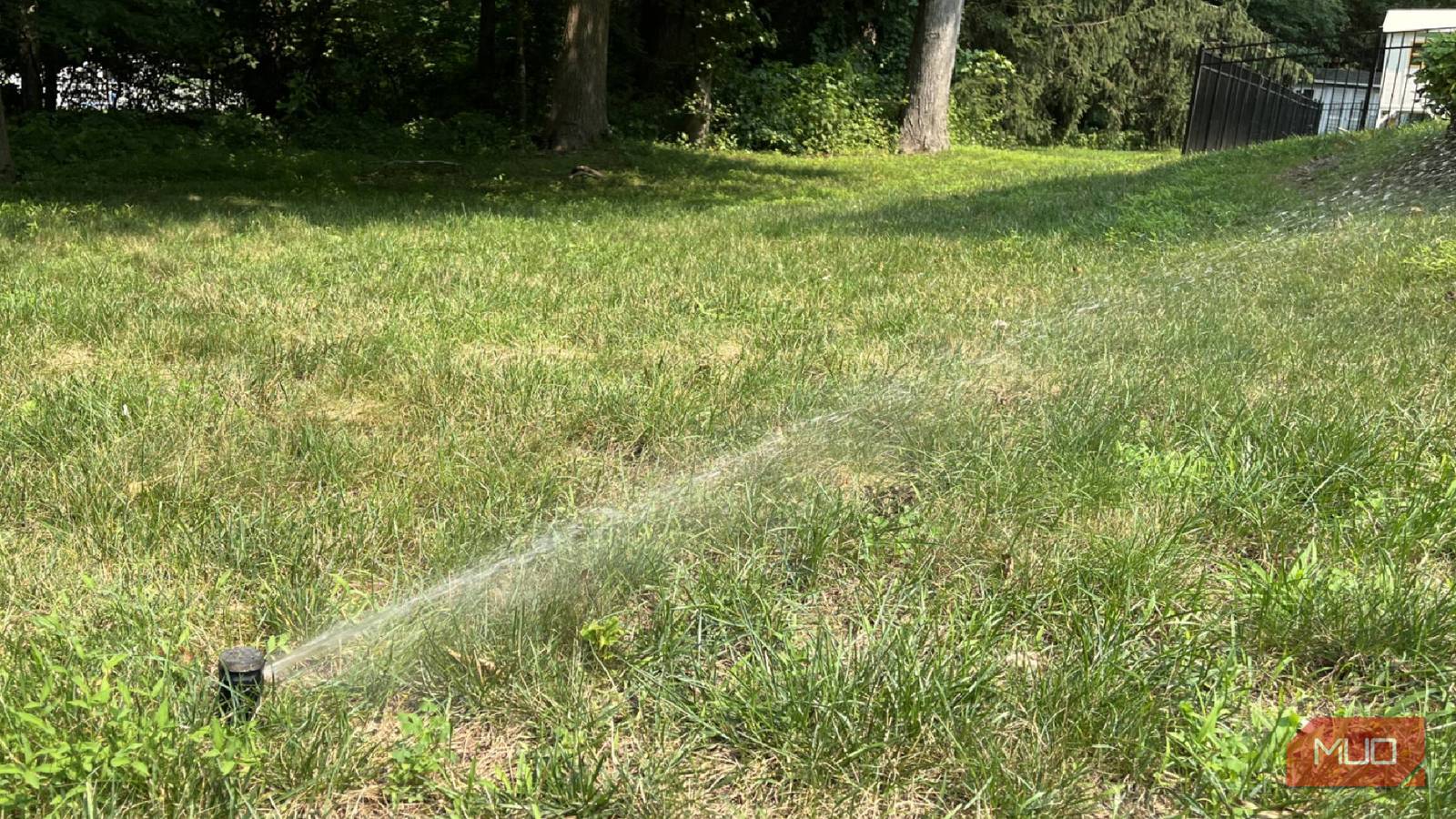 I let this app take over my sprinklers, and my lawn looks better for less