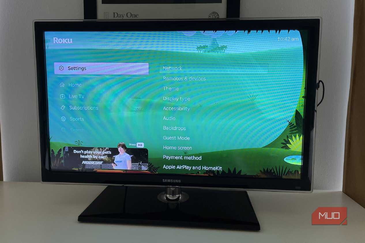 The Roku OS settings menu