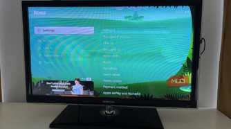 The Roku OS settings menu