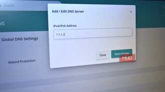 router add custom dns server.