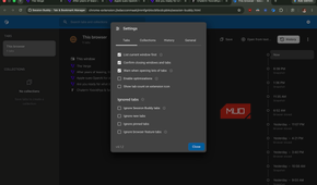 Session Buddy Extension Showing Settings