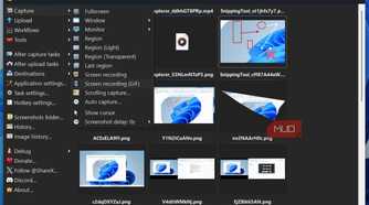 ShareX app showing capturing options on Windows