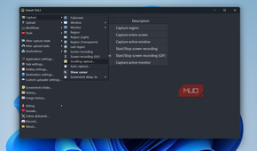 ShareX capture menu on PC