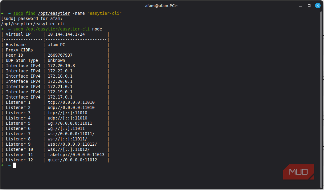 Starting node for easytier