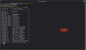 Starting node for easytier