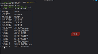 Starting node for easytier