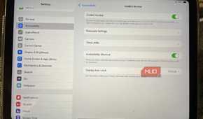 The Guided Access setting on an iPad
