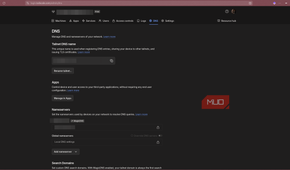 Tailscale DNS page.